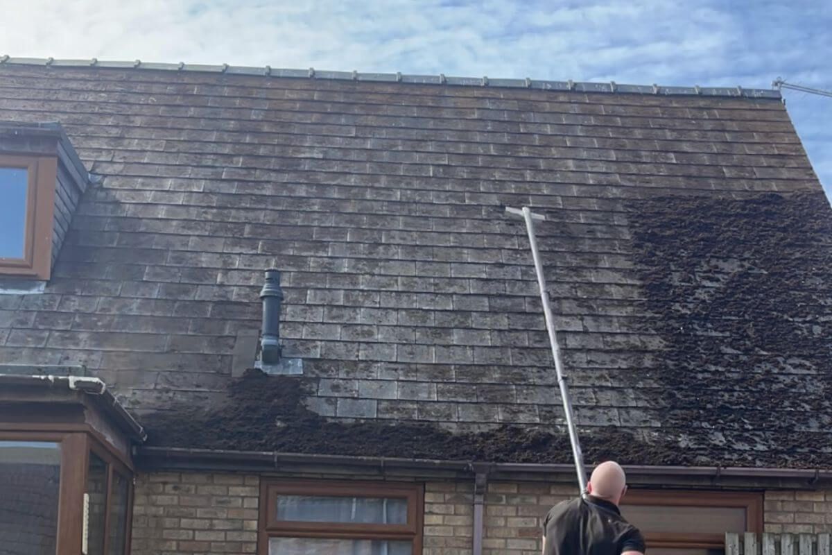Professional roof cleaning in Leeds
