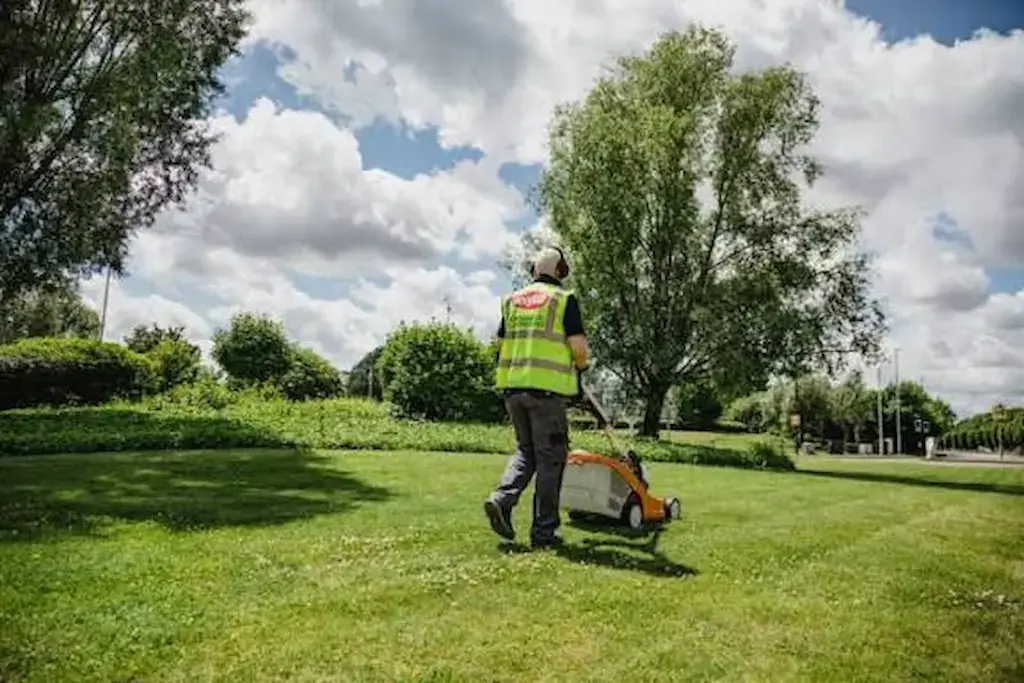 Professional grounds maintenance including lawn care and hedge trimming